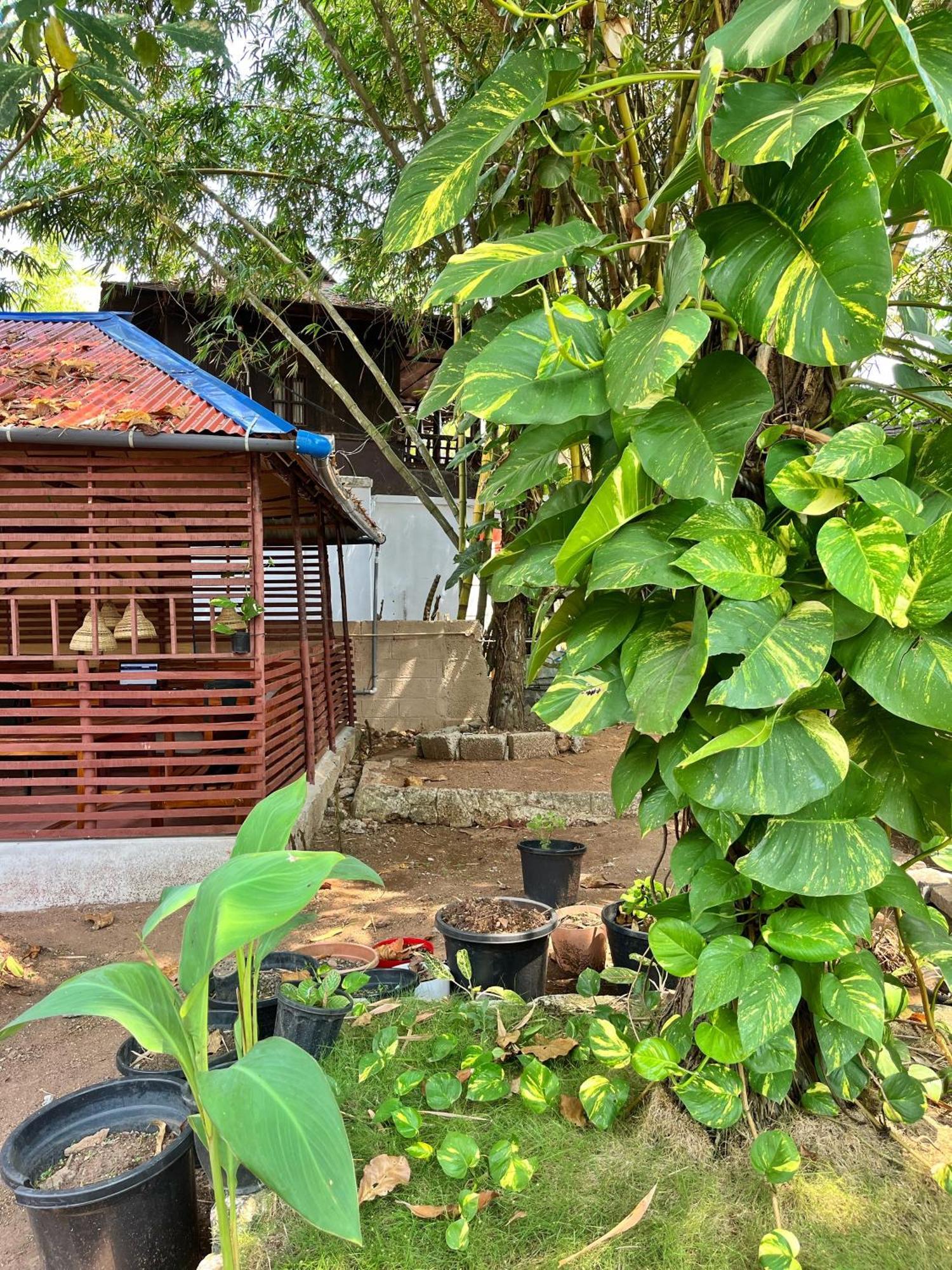 Bava Beach Resort & Retreat Center Varkala Exterior foto